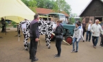 Tiermarkt_Lembeck_20120506_Foto_Lembecker.de_Frank_Langenhorst_044