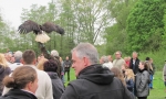 Tiermarkt_Lembeck_20120506_Foto_Lembecker.de_Frank_Langenhorst_065