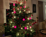 Weihnachtsbaum_UweS_20201215
