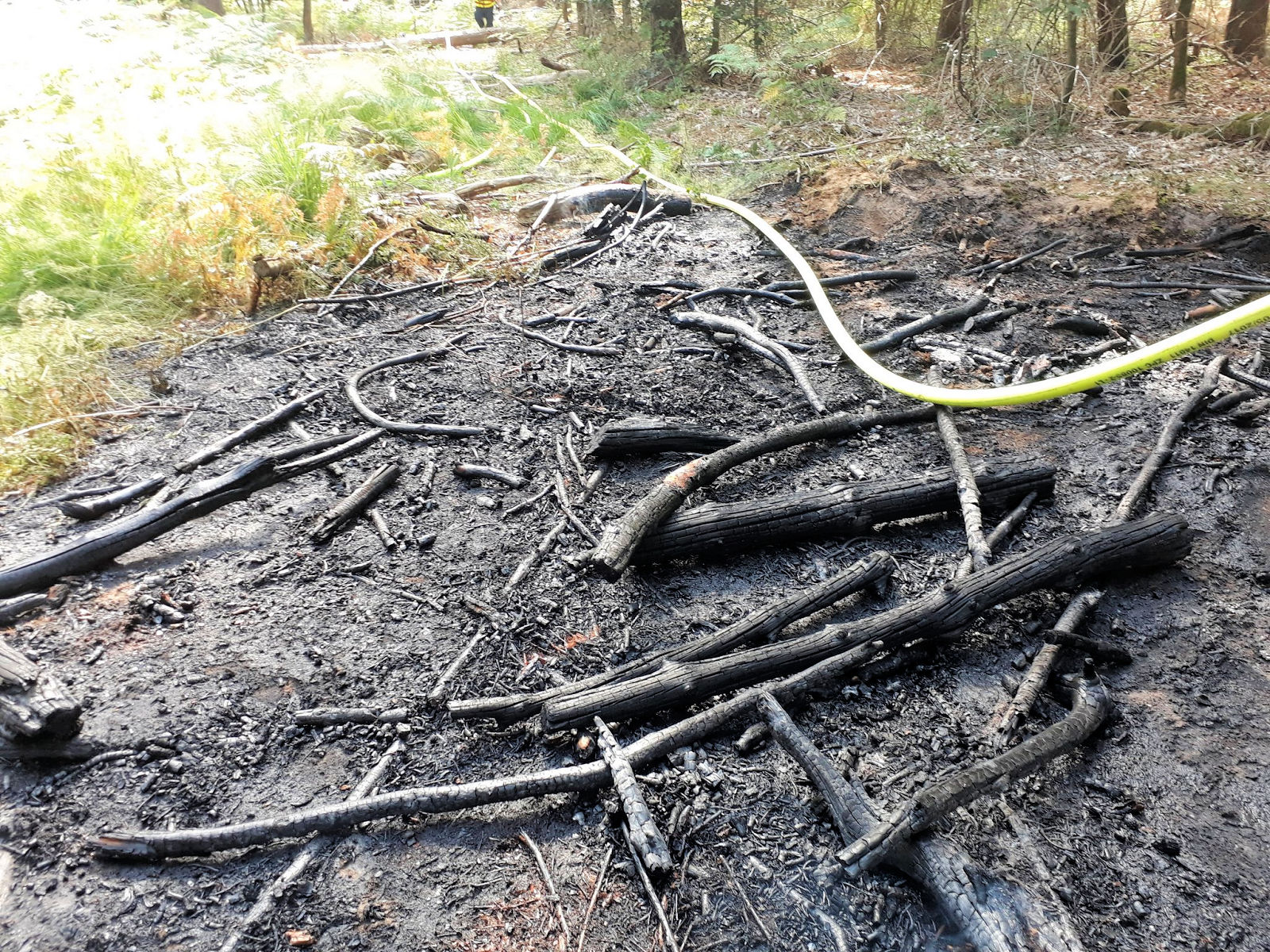 Waldbrand